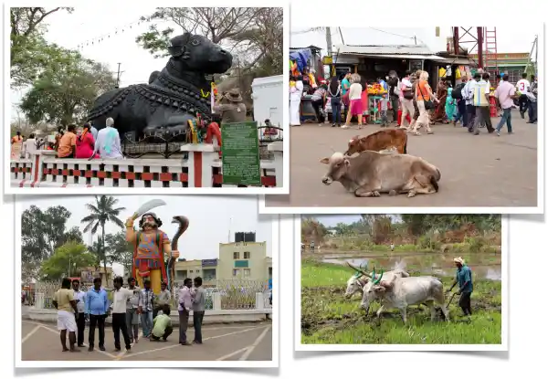 Mysore Chamundeshwari Temple