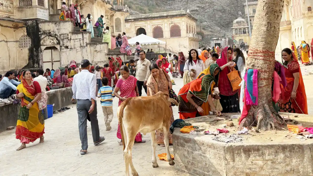Galta Jaipur Rajasthan Rundreise Indien