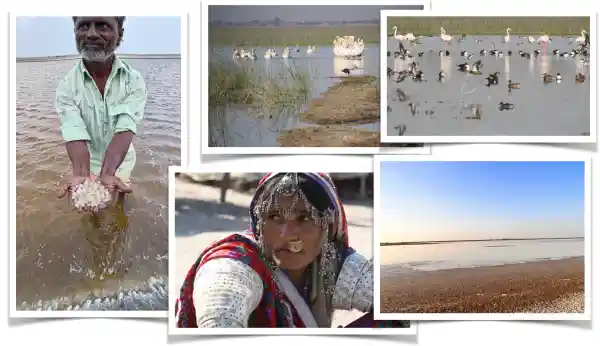 Little-Rann von Kutch Gujarat-Rundreise