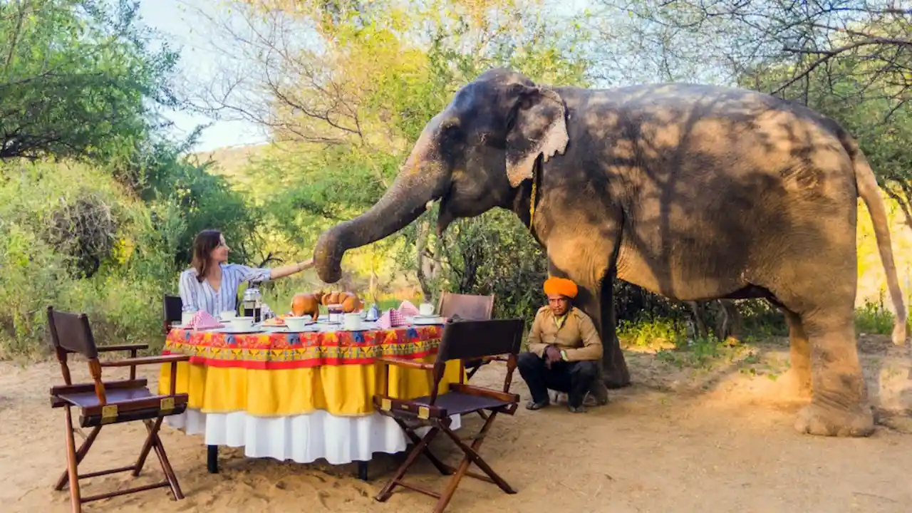 Spazieren mit Elefant in Indien