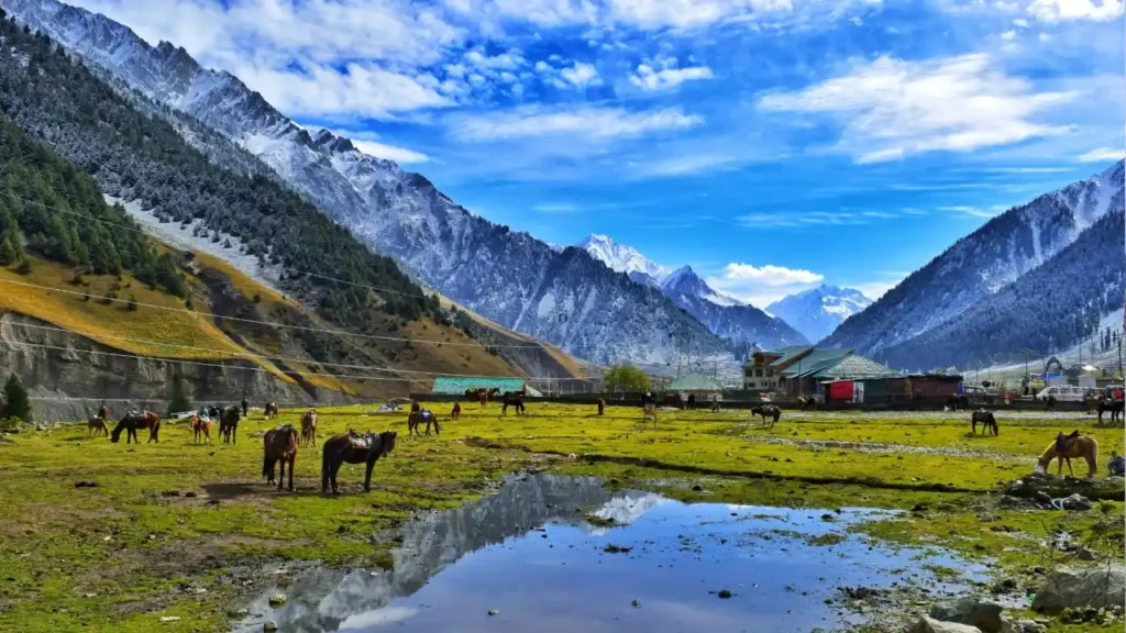 Pahalgam Kashmir Indien
